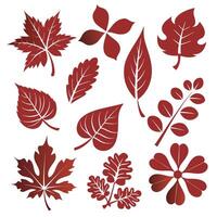 Flowers and Leaf Set Icon for Decorative Use. vector