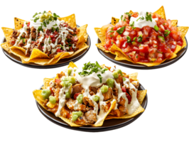 Three Variations of Nachos with Beef Salsa and Chicken Toppings png