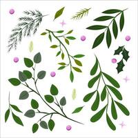 flower on white background Elements are isolated on a white background. Design for printing on cards, invitations vector