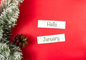 Red background with a pine cone and two white signs that say Hello January photo