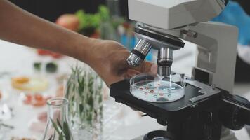 A person is using a microscope to look at food video