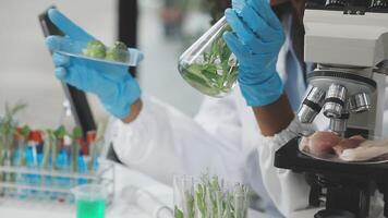 A person in a lab coat is holding a plant video
