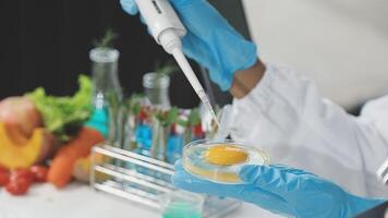 A person in a lab coat is holding a test tube with an egg in it video