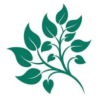 Detailed Floral Ornament Design Beautiful Leaf Clusters Elegant Pattern vector