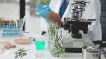 A person in a lab coat is working on a microscope video