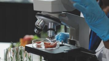 A person in a lab coat is looking at a microscope video