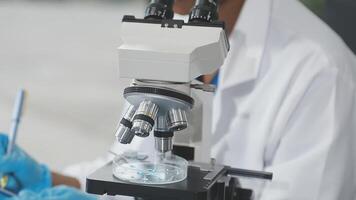 A person in a lab coat is looking at a microscope video