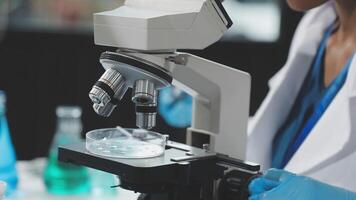 A person in a lab coat is looking at a microscope video