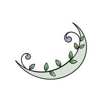 Elegant Moon Decorative Design with Floral Element vector