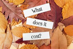Pile of autumn leaves with the words What does it cost written on top of them photo