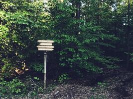 Sign with four arrows pointing in different directions is standing in a forest photo
