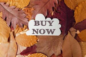 Pile of autumn leaves with the words Buy Now written on top photo
