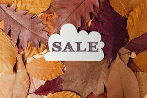White sign with the word Sale written on it is placed on top of a pile of autu photo