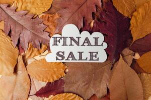 A pile of autumn leaves with the word final sale written on top photo