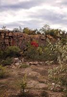 fantastic autumn in a mountain canyon, huge rocks. big gray granite boulders. yellow and red trees grow among the rocks. Aktovsky canyon, Ukraine with rocks. descent down the mountain for a climber photo