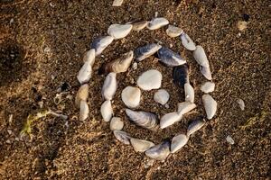 Shells laid out in a spiral lie on the sand. twisted spiral from seashells on the beach. round shape from small shells. the photo has a horizontal orientation