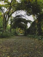A path through a forest with a large archway photo