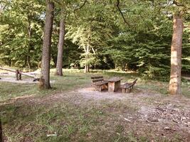 A picnic table is set up in a wooded area photo