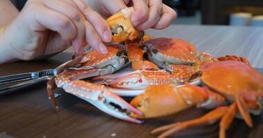 Woman eating king crab legs at the restaurant video