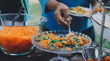 A buffet table with a variety of vegetables and salad video