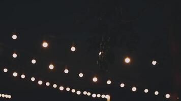 String lights on a tree video