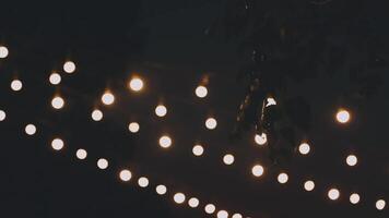 A string of lights hanging from a tree video