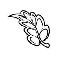 A leaf is drawn in black and white on a white background vector