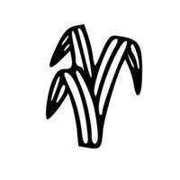 A black and white drawing of a grass plant vector