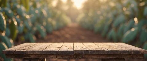 close up of rustic empty wooden table with blurred cocoa pod bean field farm background. photo