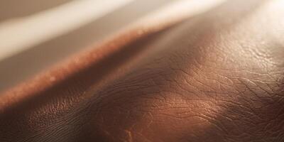Close up of brown leather texture reflecting warm light photo