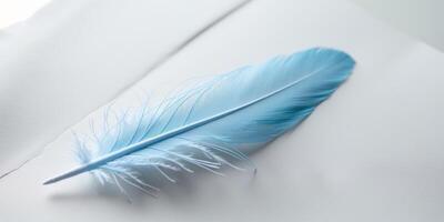 Light blue feather gently resting on blank white paper photo
