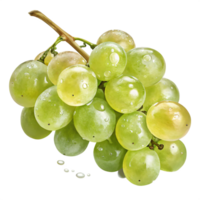A cluster of green grapes with a translucent, glossy surface, showcasing natural highlights png