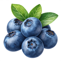 A cluster of blueberries with a dark blue, matte surface and a natural bloom. png