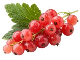A cluster of red currants with a translucent, glossy surface and a fresh, tangy appearance. png
