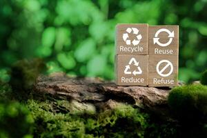 Zero waste Icons with recycling symbols in the middle of a beautiful forest. Reuse, Reduce, Recycle, Refuse. photo