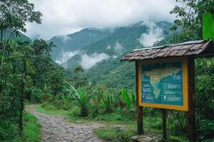 Hiking trail entering lush green forest with informative sign displaying map photo