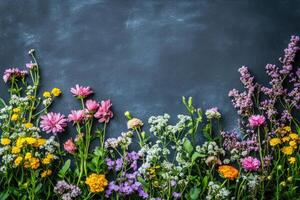 Colorful wildflowers lying on dark background creating floral border photo