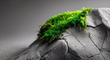 Close Up of Stone with Chisel Marks and Moss photo
