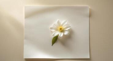 From above a beige background with a blank sheet of paper featuring a flower offers copy space image. photo