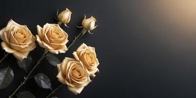 Elegant Golden Roses on Captivating Black Gradient with Copy Space photo