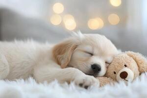 A small puppy rests soundly while hugging its favorite plush toy, surrounded by a gentle warmth and soft light that enhances the cozy atmosphere photo