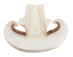 fresh white mushroom half cut showing gills and smooth texture, champignon mushroom on isolated background png