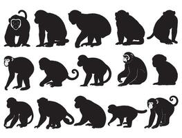 Monkeys silhouette white background vector