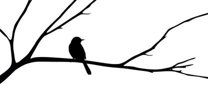 Bird on tree branch silhouette illustration with a white background vector