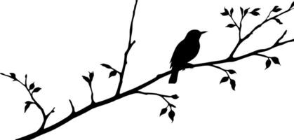 Bird on branch silhouette with a white background vector