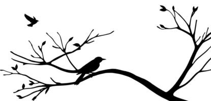 Bird on tree branch vector