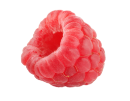 fresh ripe raspberry with vibrant red color and detailed texture on isolated background png