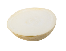 fresh organic turnip slice with white flesh on isolated background png