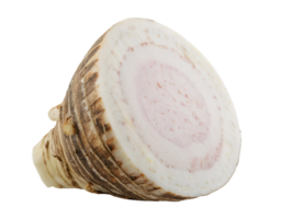 fresh taro root with sliced cross-section showing pinkish white starchy texture on isolated background png