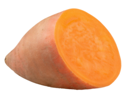 fresh sweet potato slice with vibrant orange flesh on isolated background png